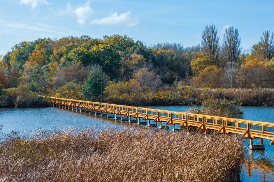 A wide view of the Walthamstow Wetlands featuring a calm river flowing through lush green vegetation on both banks, with tall grasses and reeds in the foreground. In the distance, there are scattered 